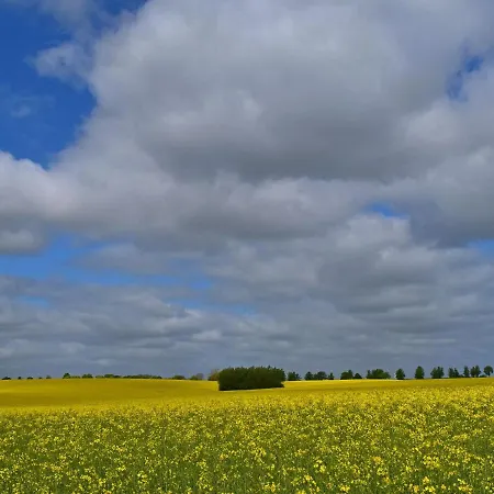 Im Gutshaus Schulenbrook Lejlighed *