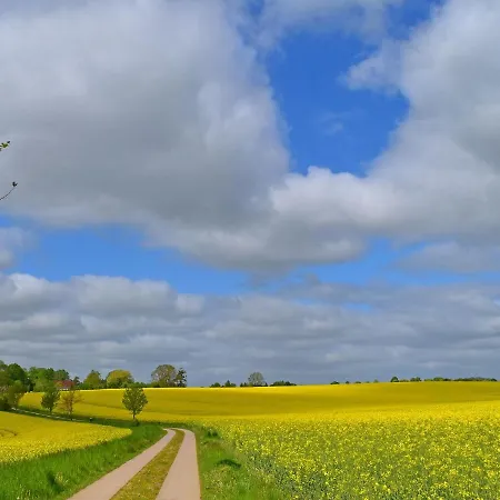 Im Gutshaus Schulenbrook Lejlighed Metelsdorf